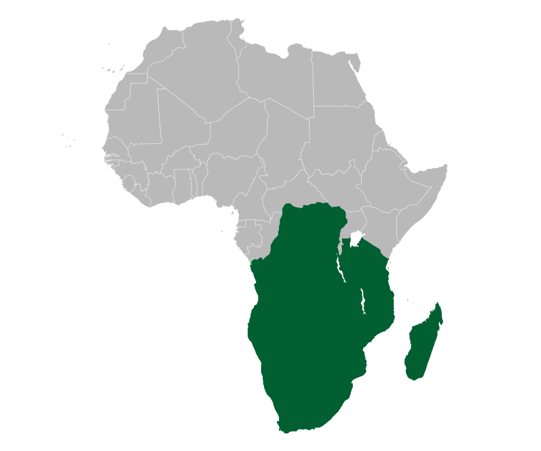 african fund